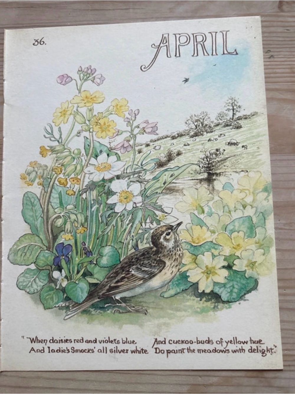 1977 Book Page April Bird Illustration Print - Yellow & Green Floral Art 9”x7”
